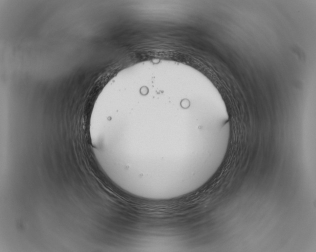 X0000111030752200908061435