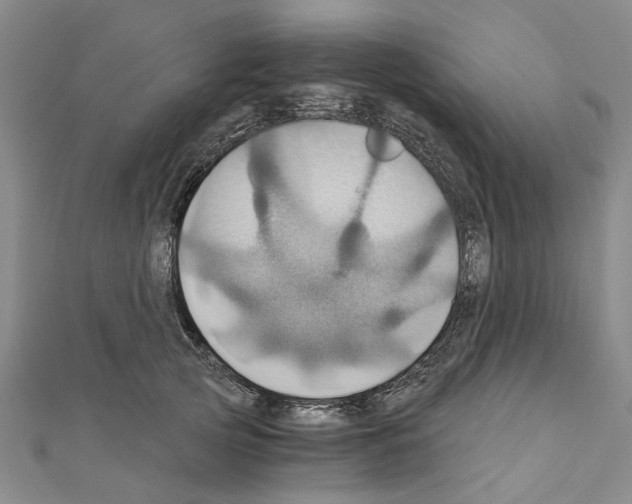X0000111030753200908061435