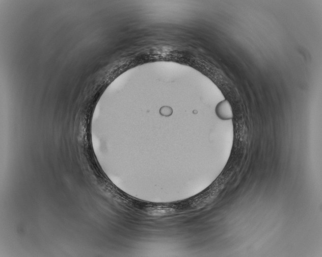 X0000111030754200908061435