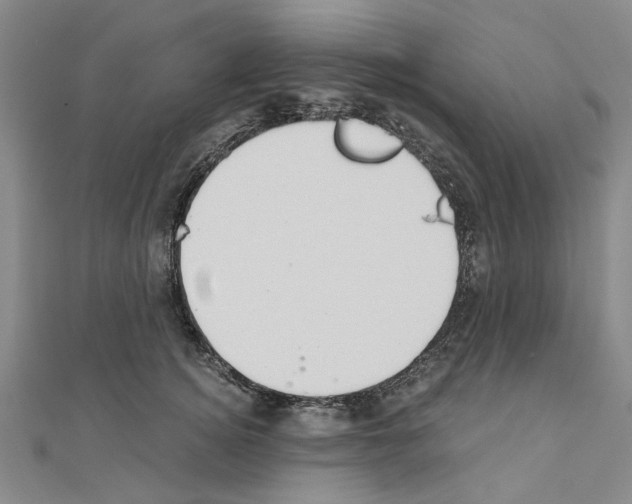 X0000111030756200908061435