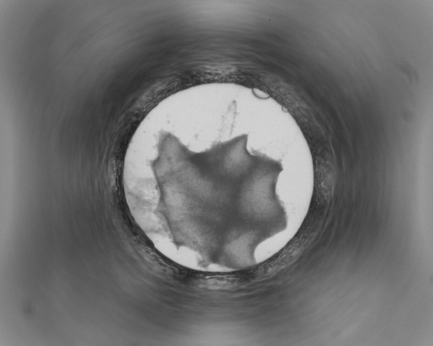 X0000111030758200908061435