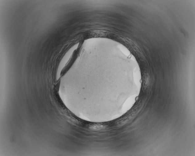 X0000111030759200908061435