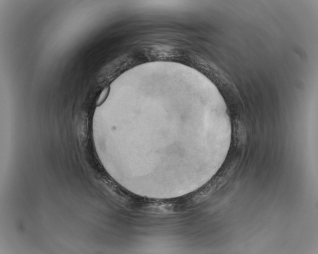 X0000111030760200908061435