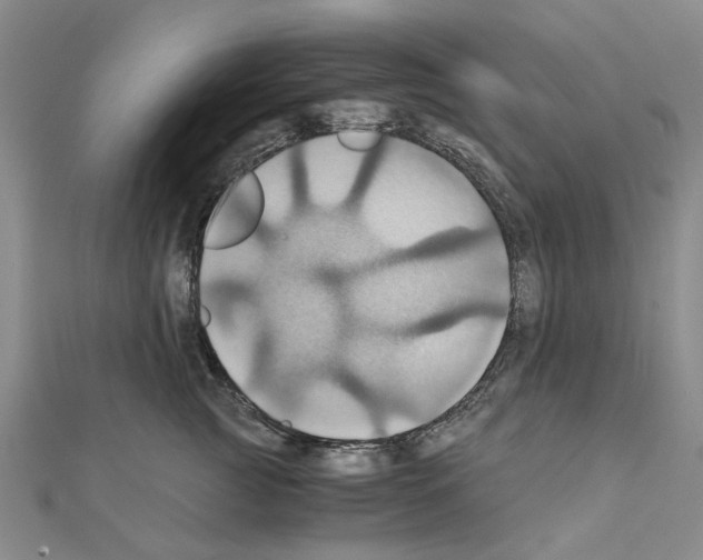 X0000111030761200908061435
