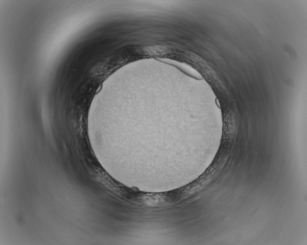 X0000111030762200908061435
