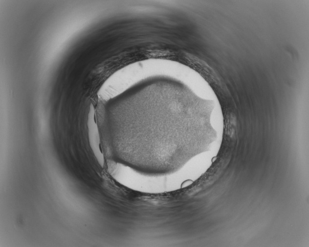 X0000111030763200908061435