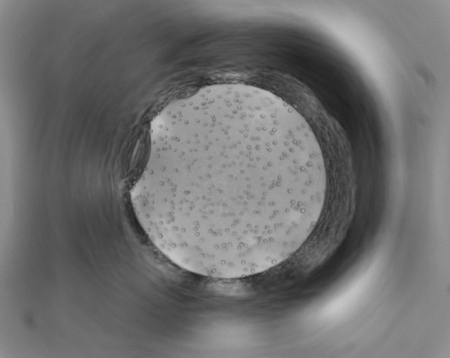 X0000111030767200908061435