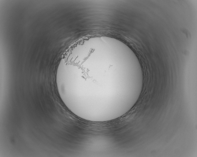 X0000111030768200908061435