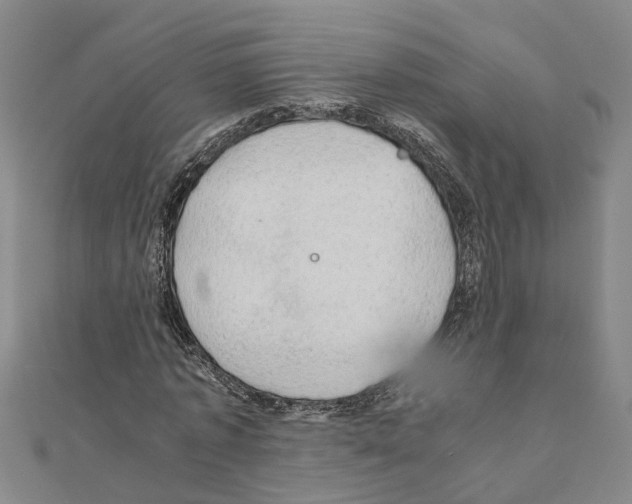 X0000111030773200908061435