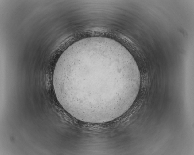 X0000111030774200908061435