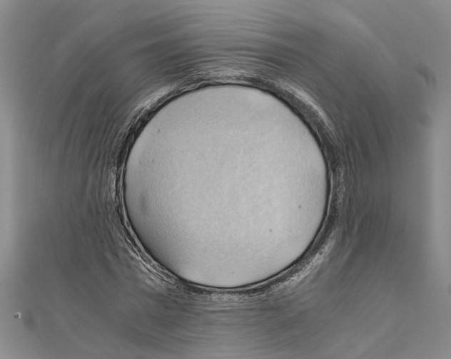 X0000111030777200908061435