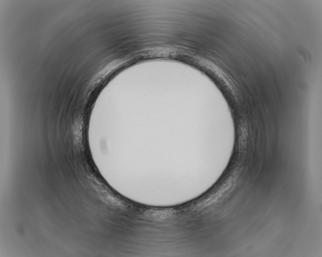 X0000111030778200908061435