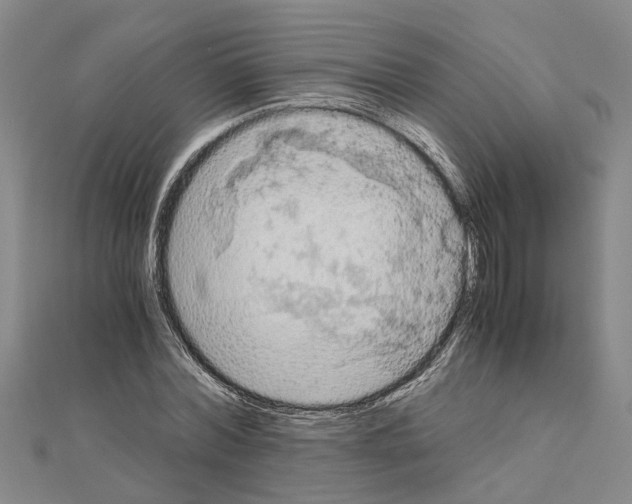 X0000111030780200908061435