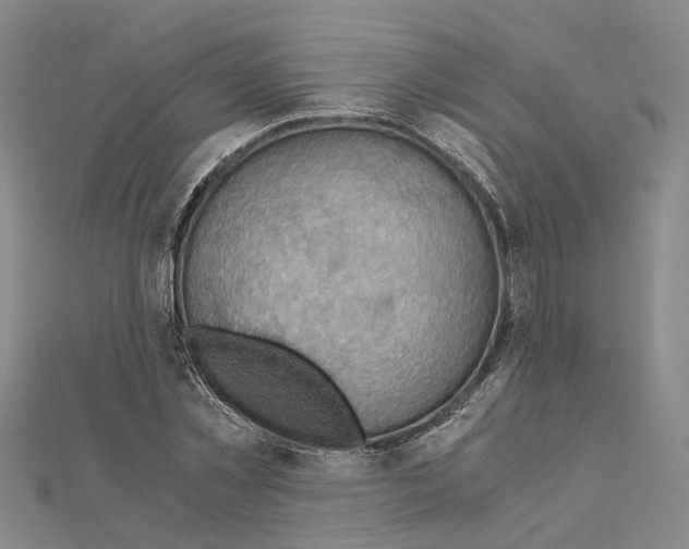 X0000111030781200908061435
