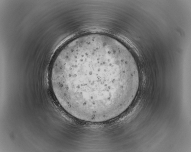 X0000111030782200908061435