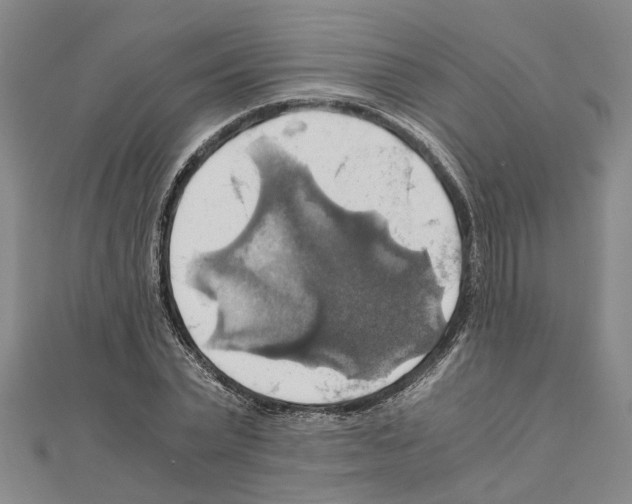 X0000111030783200908061435