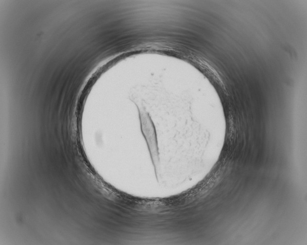 X0000111030784200908061435