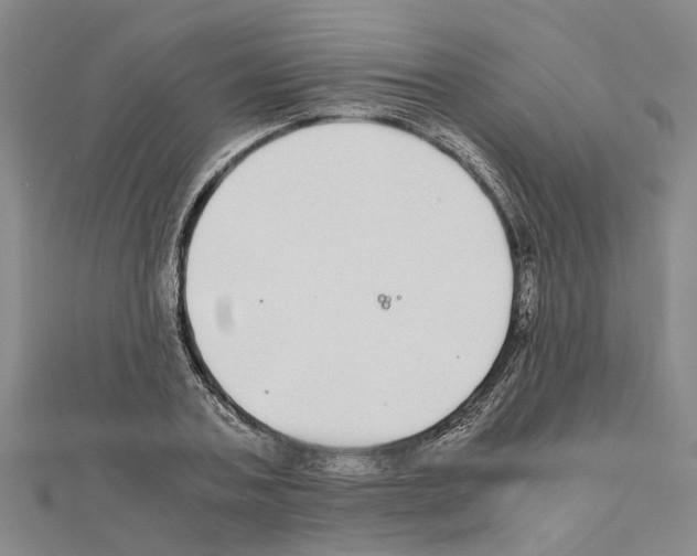 X0000111030787200908061435