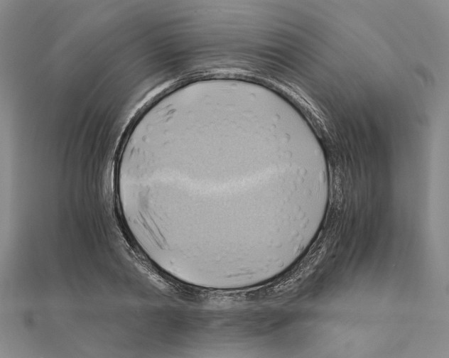X0000111030790200908061435