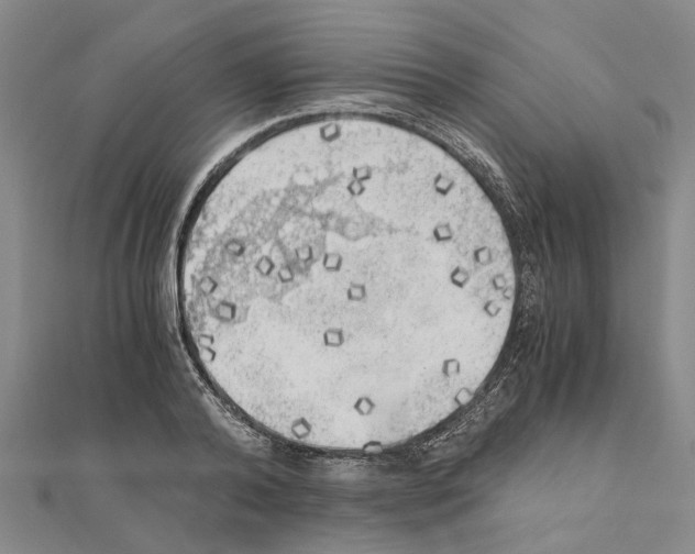 X0000111030792200908061434