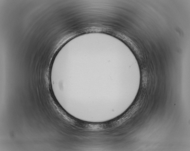 X0000111030794200908061434
