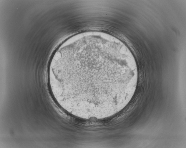 X0000111030795200908061434