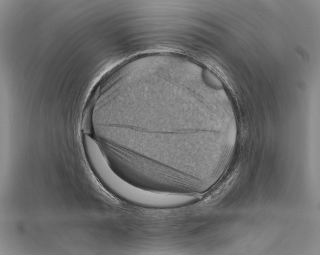 X0000111030797200908061434