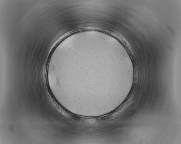X0000111030798200908061434
