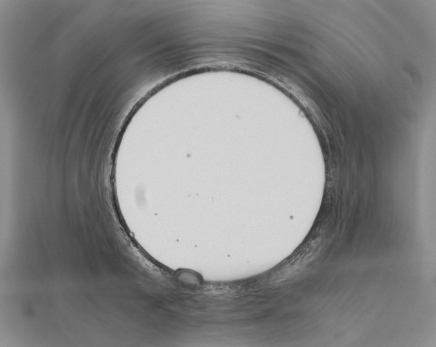 X0000111030799200908061434