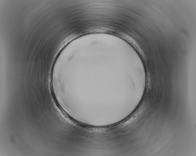 X0000111030802200908061434