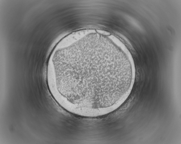 X0000111030804200908061434