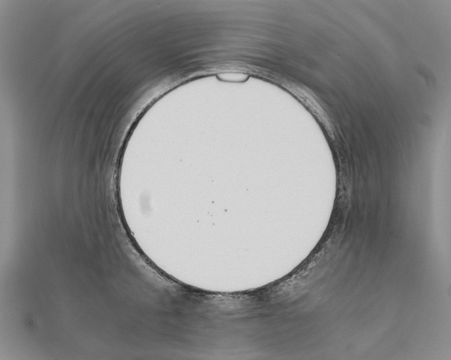 X0000111030805200908061434
