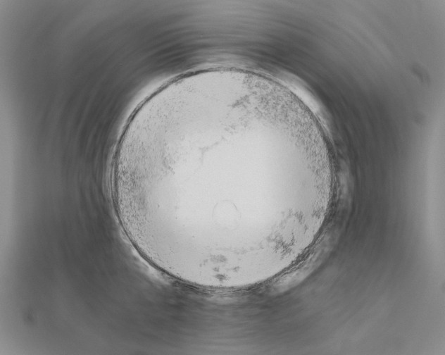 X0000111030807200908061434