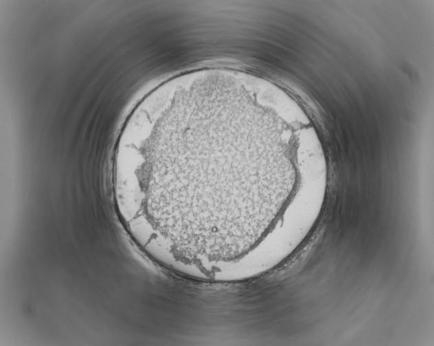 X0000111030808200908061434