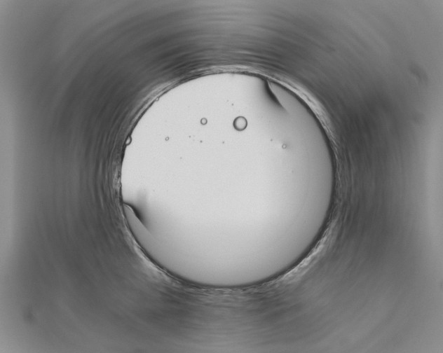 X0000111030809200908061434