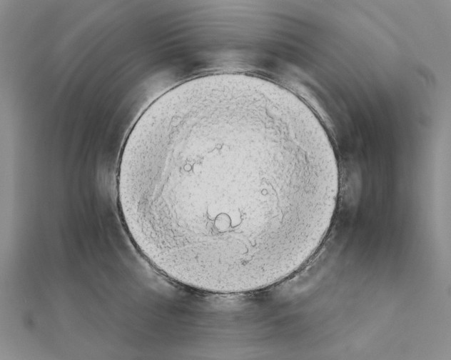 X0000111030810200908061434