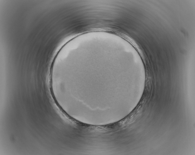 X0000111030811200908061434