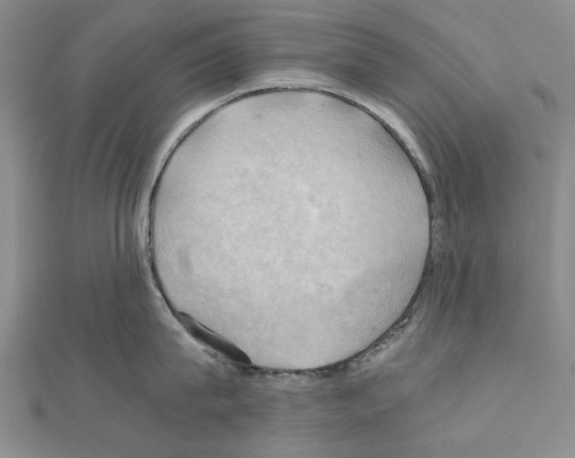 X0000111030815200908061434