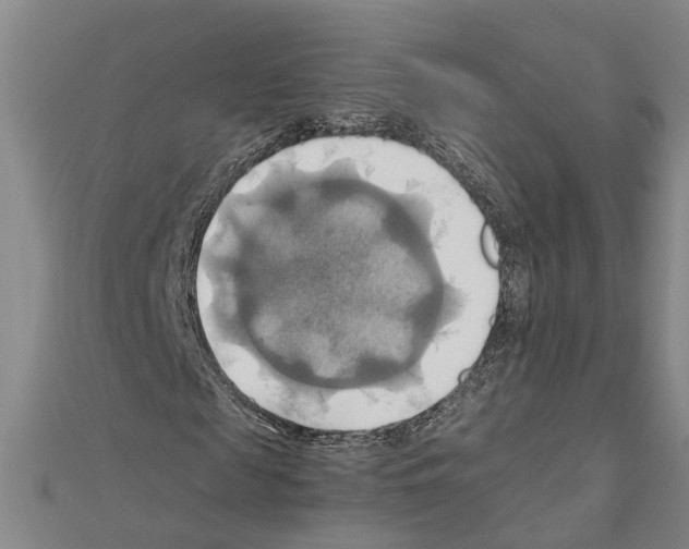 X0000111030817200908061434