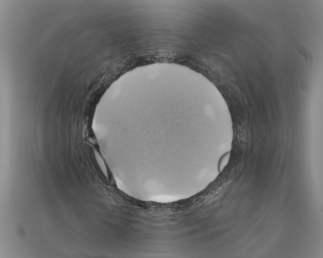 X0000111030818200908061434