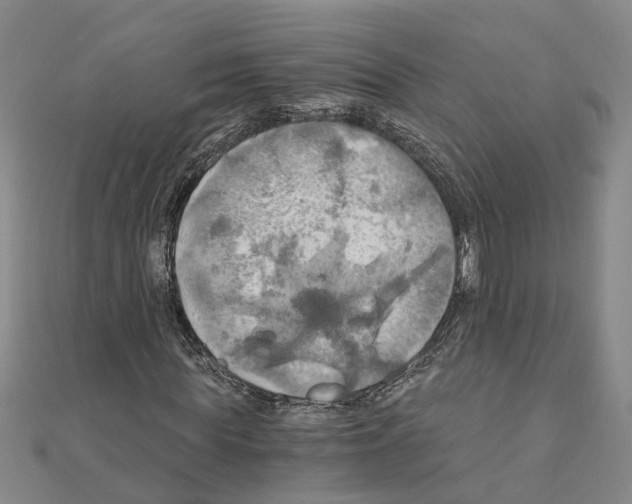 X0000111030819200908061434