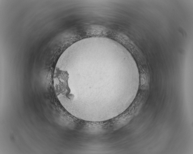 X0000111030820200908061434