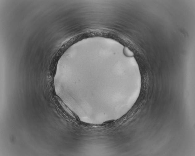 X0000111030822200908061434