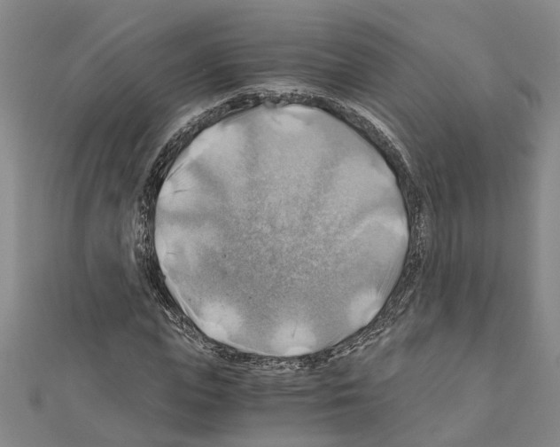 X0000111030823200908061434