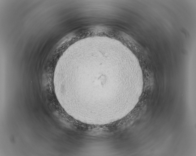 X0000111030824200908061434