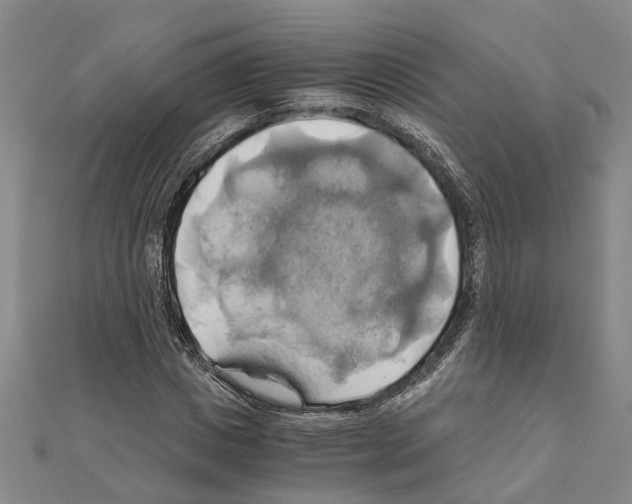 X0000111030825200908061434