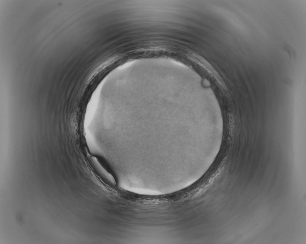 X0000111030826200908061434