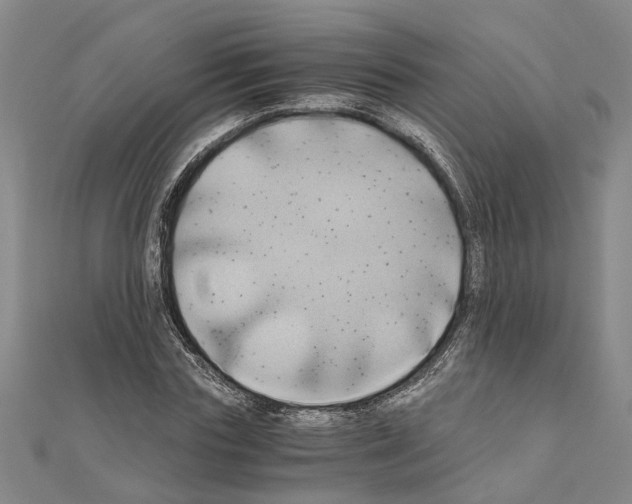 X0000111030827200908061434