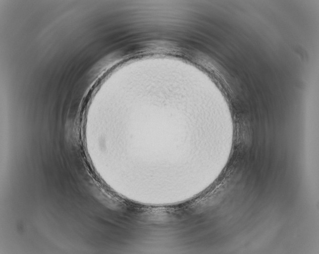 X0000111030828200908061434