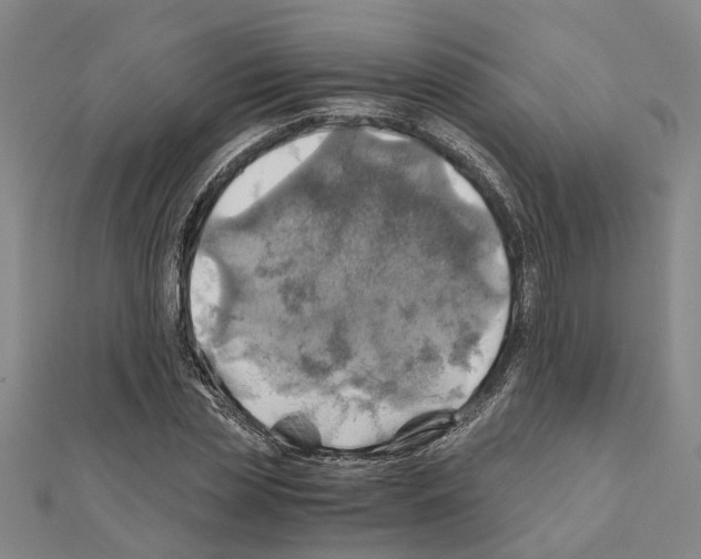X0000111030829200908061434